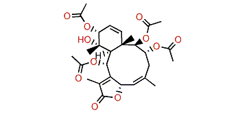 12-O-Acetylbriviolide D